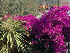 Appartamento Bouganville Pietra Ligure